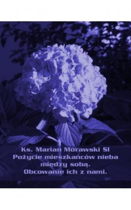 Pożycie mieszkańców nieba między sobą. Obcowanie ich z nami. - Marian Morawski - Ebook - 978-83-7639-079-6