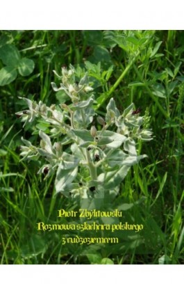 Rozmowa szlachcica polskiego z cudzoziemcem - Piotr Zbylitowski - Ebook - 978-83-7639-094-9