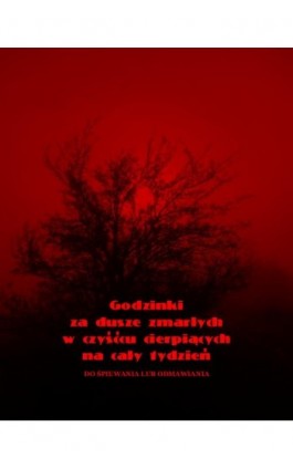 Godzinki za dusze zmarłych w czyśćcu cierpiących na cały tydzień - Anonim - Ebook - 978-83-60084-27-4