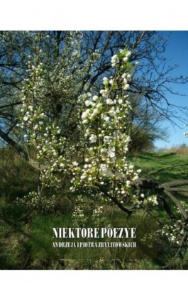 Niektóre poezye Andrzeja i Piotra Zbylitowskich - Andrzej Zbylitowski - Ebook - 978-83-7639-112-0