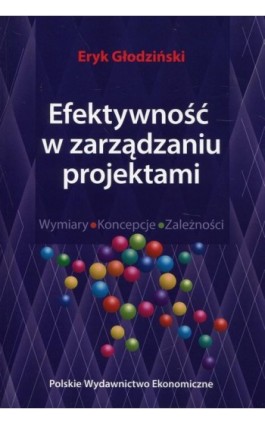 Efektywność w zarządzaniu projektami - Eryk Głodziński - Ebook - 978-83-208-2460-5