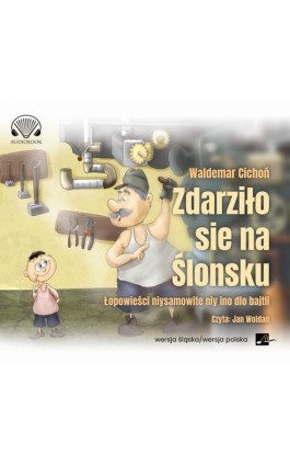 Zdarziło sie na Ślonsku. Łopowieści niysamowite niy ino dlo bajtli - Waldemar Cichoń - Audiobook - 9788366817159