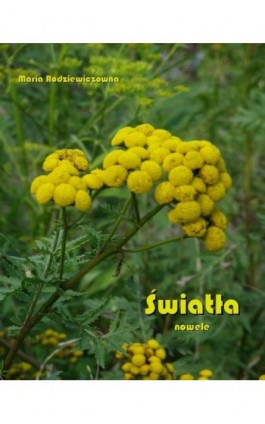 Światła. Nowele - Maria Rodziewiczówna - Ebook - 978-83-7639-241-7