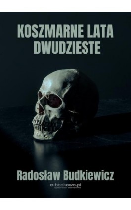 Koszmarne lata dwudzieste - Radosław Budkiewicz - Ebook - 978-83-8166-170-6