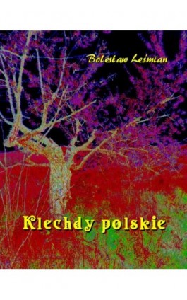 Klechdy polskie - Bolesław Leśmian - Ebook - 978-83-7639-245-5