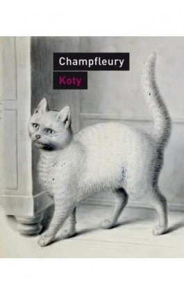 Koty - Jules Champfleury - Ebook - 978-83-7453-509-0