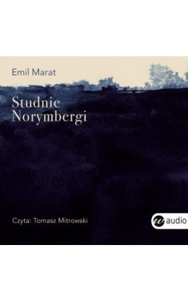 Studnie Norymbergi - Emil Marat - Audiobook - 978-83-8032-364-3