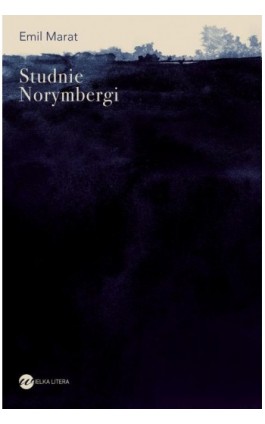Studnie Norymbergi - Emil Marat - Ebook - 978-83-8032-628-6