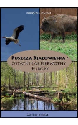 Puszcza Białowieska - Ostatni las pierwotny Europy - Wojciech Biedroń - Ebook - 978-83-952393-4-2