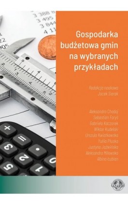 Gospodarka budżetowa gmin na wybranych przykładach - Jacek Sierak - Ebook - 978-83-66723-25-2