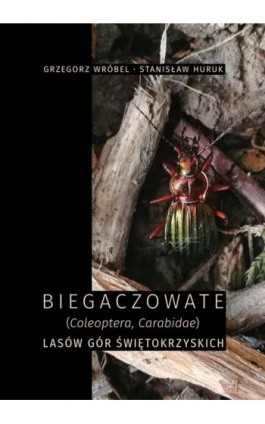 Biegaczowate (Coleoptera, Carabidae) lasów Gór Świętokrzyskich - Stanisław Huruk - Ebook - 978-83-7133-904-2