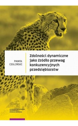 Zdolności dynamiczne jako źródło przewag konkurencyjnych przedsiębiorstw - Paweł Cegliński - Ebook - 978-83-231-4591-2