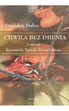 Chwila bez imienia. O poezji Krzysztofa Kamila Baczyńskiego - Stanisław Stabro - Ebook - 978-83-242-1041-1