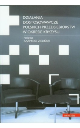 Działania dostosowawcze polskich przedsiębiorstw w okresie kryzysu - Kazimierz Zieliński - Ebook - 978-83-242-1873-8