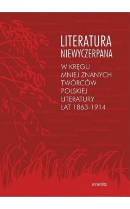 Literatura niewyczerpana - Krzysztof Fiołek - Ebook - 978-83-242-2516-3