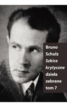 Szkice Krytyczne - Bruno Schulz - Ebook - 978-83-7453-421-5
