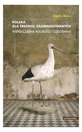 Polska dla średnio zaawansowanych - Agata Bisko - Ebook - 978-83-242-2501-9