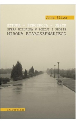 Sztuka Percepcja Język - Anna Śliwa - Ebook - 978-83-242-1981-0