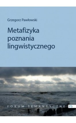 Metafizyka poznania lingwistycznego - Grzegorz Pawłowski - Ebook - 978-83-235-5145-4