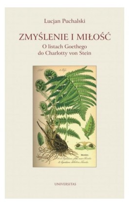 Zmyślenie i miłość O listach Goethego do Charlotty von Stein - Lucjan Puchalski - Ebook - 978-83-242-2968-0