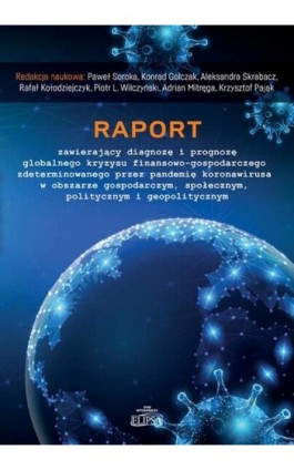 Raport zawierający diagnozę i prognozę globalnego kryzysu finansowo-gospodarczego zdeterminowanego przez pandemię koronawirusa w - Ebook - 978-83-8017-375-0
