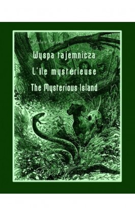 Wyspa tajemnicza - Jules Verne - Ebook - 978-83-7950-215-8