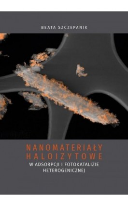 Nanomateriały haloizytowe w adsorpcji i fotokatalizie heterogenicznej - Beata Szczepanik - Ebook - 978-83-7133-910-3