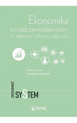 Ekonomika świadczeniodawców w sektorze ochrony zdrowia - Ebook - 978-83-200-6566-4