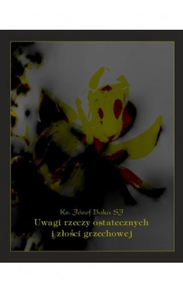 Uwagi rzeczy ostatecznych i złości grzechowej - Ks. Józef Baka - Ebook - 978-83-7639-266-0