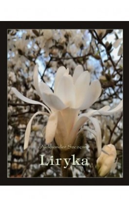 Liryka - Aleksander Szczęsny - Ebook - 978-83-7639-255-4