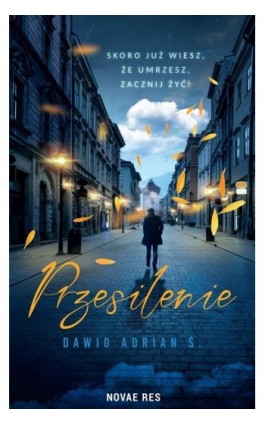 Przesilenie - Dawid Adrian Ś. - Ebook - 978-83-8219-527-9