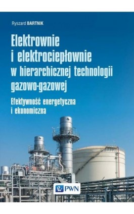 Elektrownie i elektrociepłownie w hierarchicznej technologii gazowo-gazowej - Ryszard Bartnik - Ebook - 978-83-01-22067-9