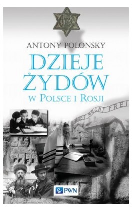 Dzieje Żydów w Polsce i Rosji - Antony Polonsky - Ebook - 978-83-01-19145-0