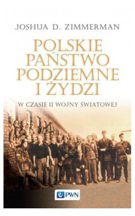 Polskie Państwo Podziemne i Żydzi - Joshua D. Zimmerman - Ebook - 978-83-01-19933-3