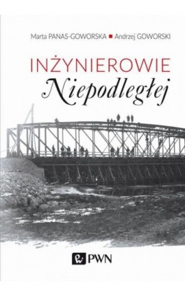 Inżynierowie Niepodległej - Andrzej Goworski - Ebook - 978-83-01-20359-7