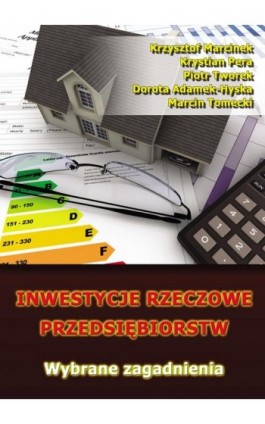 Inwestycje rzeczowe przedsiębiorstw. Wybrane zagadnienia - Krzysztof Marcinek - Ebook - 978-83-7875-025-3