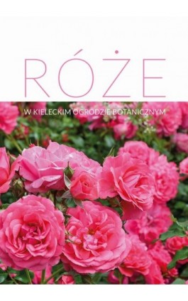 Róże w Kieleckim Ogrodzie Botanicznym - Ebook - 978-83-7133-731-4