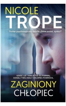 Zaginiony chłopiec - Nicole Trope - Ebook - 978-83-8195-919-3