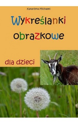 Wykreślanki obrazkowe dla dzieci - Katarzyna Michalec - Ebook - 978-83-8166-284-0