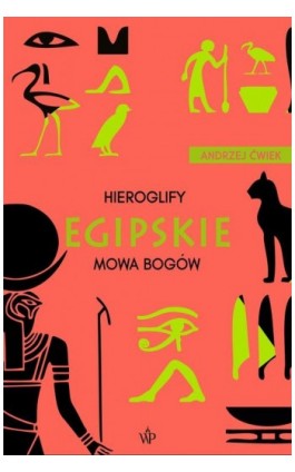 Hieroglify egipskie - Andrzej Ćwiek - Ebook - 9788367176224