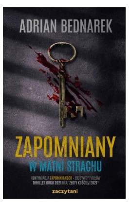 Zapomniany W matni strachu - Adrian Bednarek - Ebook - 978-83-8219-889-8