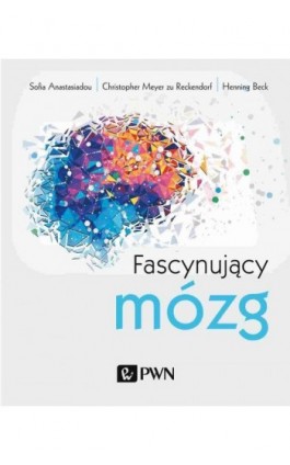 Fascynujący mózg - Henning Beck - Ebook - 978-83-01-22173-7