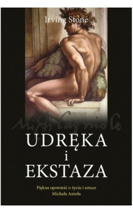 Udręka i ekstaza - Irving Stone - Ebook - 978-83-287-1113-6