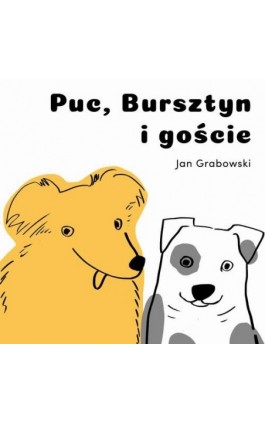 Puc, Bursztyn i goście - Jan Grabowski - Audiobook - 978-83-76994-89-5