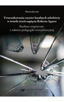 Uwarunkowania czynów karalnych młodzieży w świetle teorii napięcia Roberta Agnew. Studium empiryczne z zakresu pedagogiki resocj - Marcin Jurczyk - Ebook - 978-83-226-4112-5