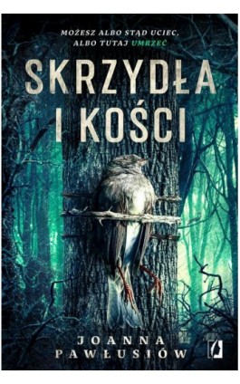 Skrzydła i kości - Joanna Pawłusiów - Ebook - 978-83-67335-46-1