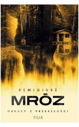 Obrazy z przeszłości - Remigiusz Mróz - Ebook - 978-83-8280-084-5