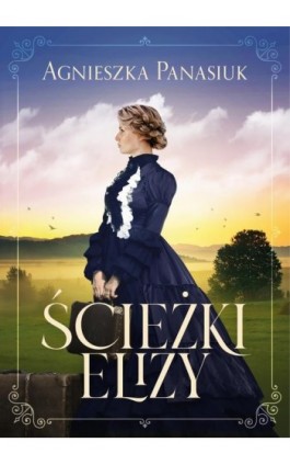 Ścieżki Elizy - Agnieszka Panasiuk - Ebook - 978-83-67102-46-9