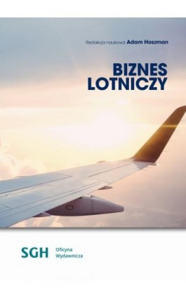 Biznes lotniczy - Ebook - 978-83-8030-335-5