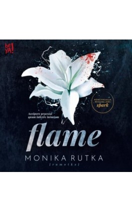 Flame - Monika Rutka - Audiobook - 978-83-283-9959-4